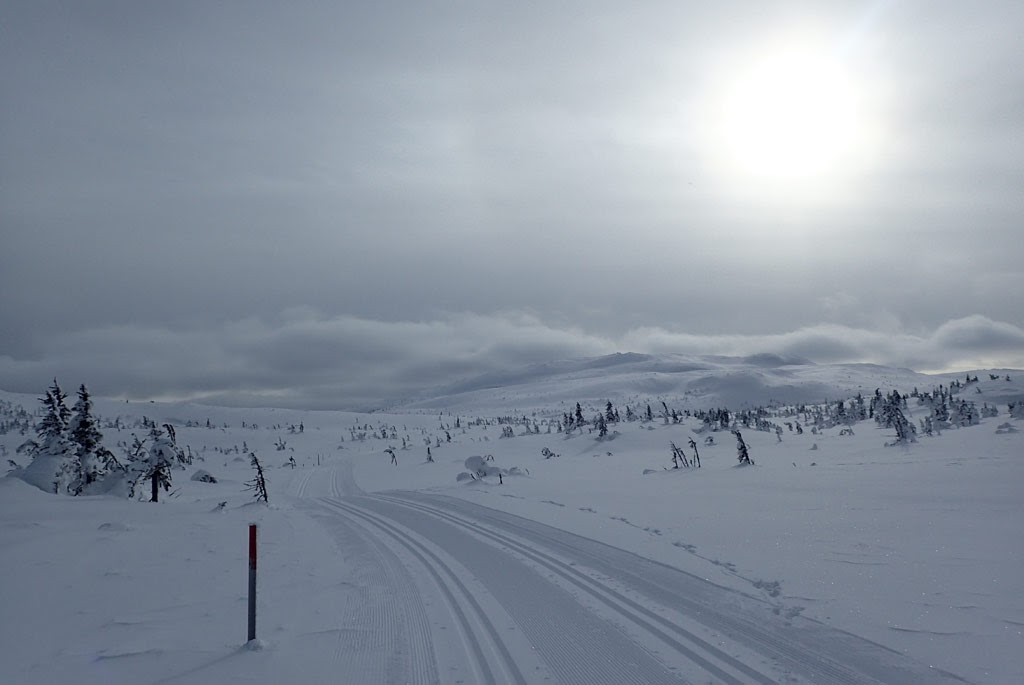 Vikerfjell_2018_15_Gyranfisen_i_horisont