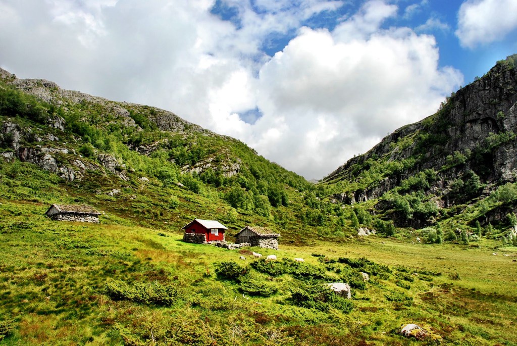 IMG_1544.jpg?resize=1024%2C685