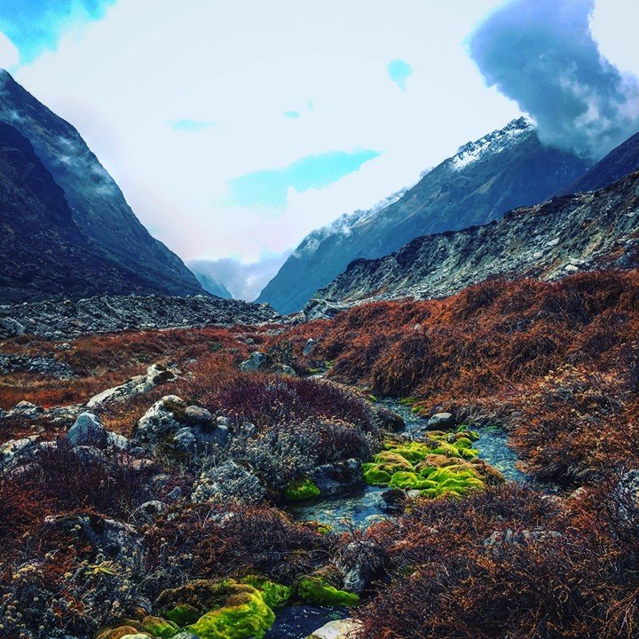 30740083_2041962299179771_24973448420492