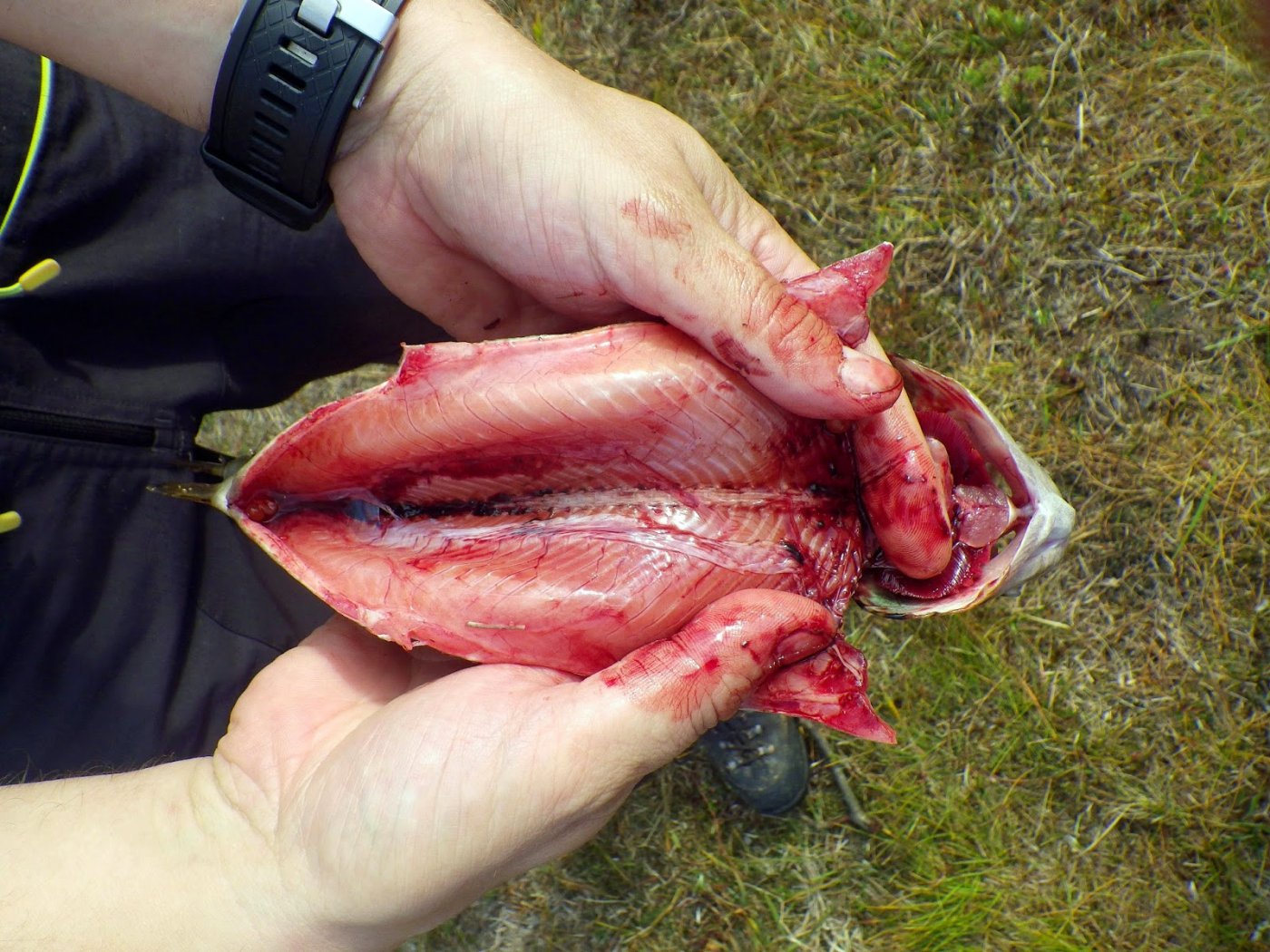 Kvistdalen%2B5-7%2BSeptember%2B2014%2B02