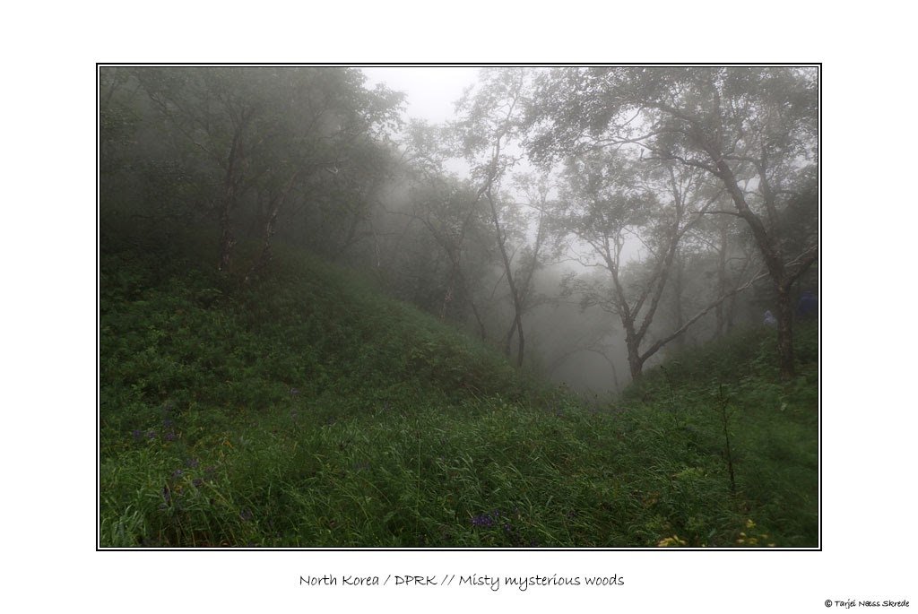 cbEDEYlVFh3PaH-hWwf6dVJWCK_VBmhm0RI4muXY