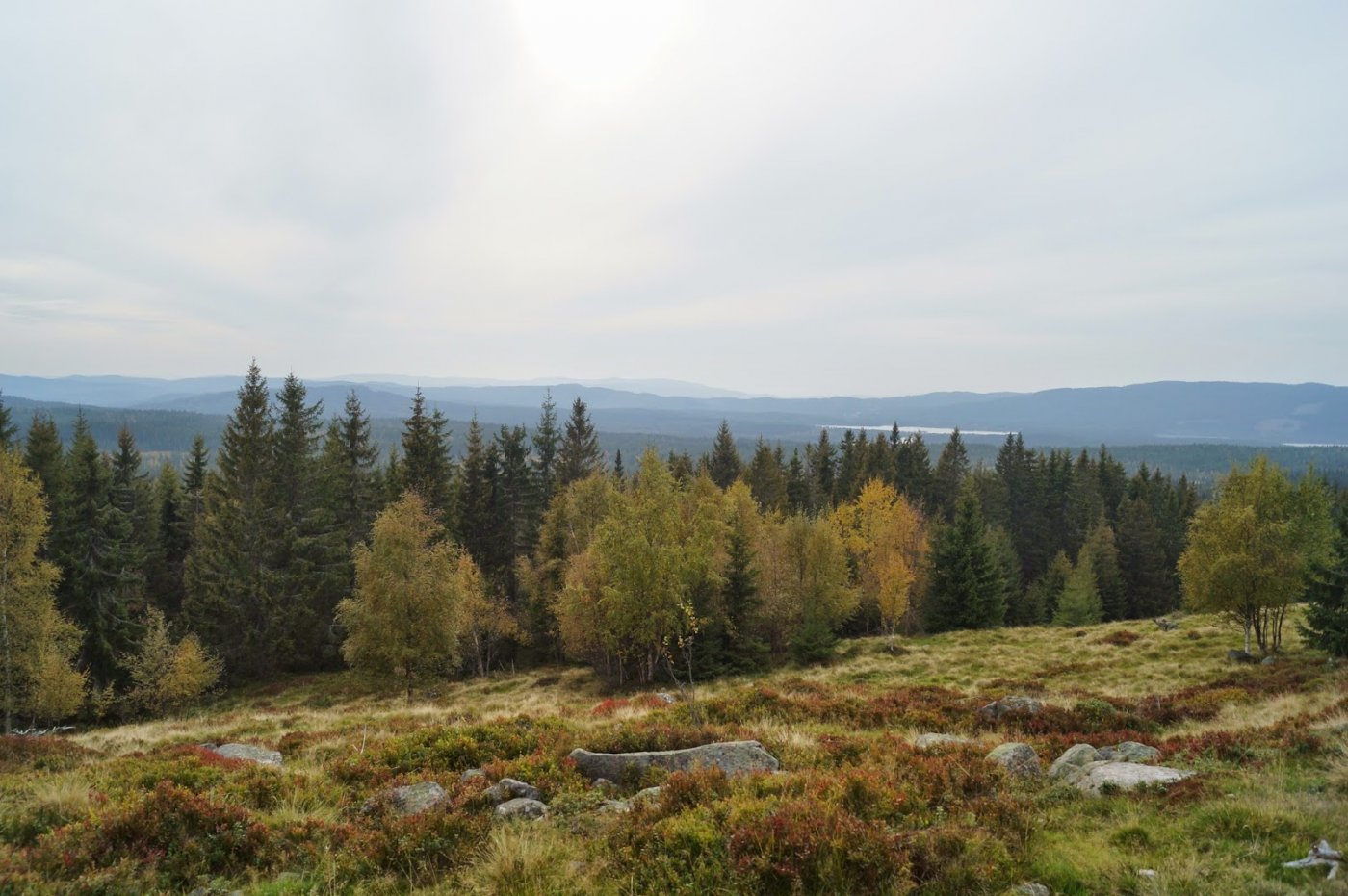 Jotunheimstien%2Bdel%2B2.%2BBrovoll-Lygn