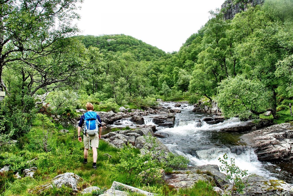 IMG_1540.jpg?resize=1024%2C685