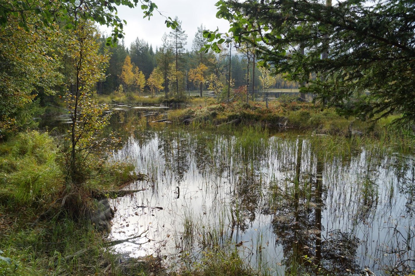 Jotunheimstien%2Bdel%2B2.%2BBrovoll-Lygn