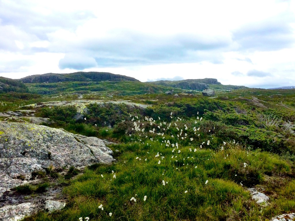 IMG_1664.jpg?resize=1024%2C768