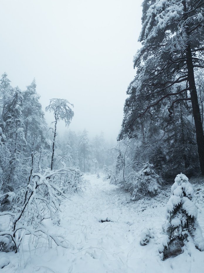 _NCdaCyKHf66y_3HpCT4_73cyTf0suz1rautnJi0