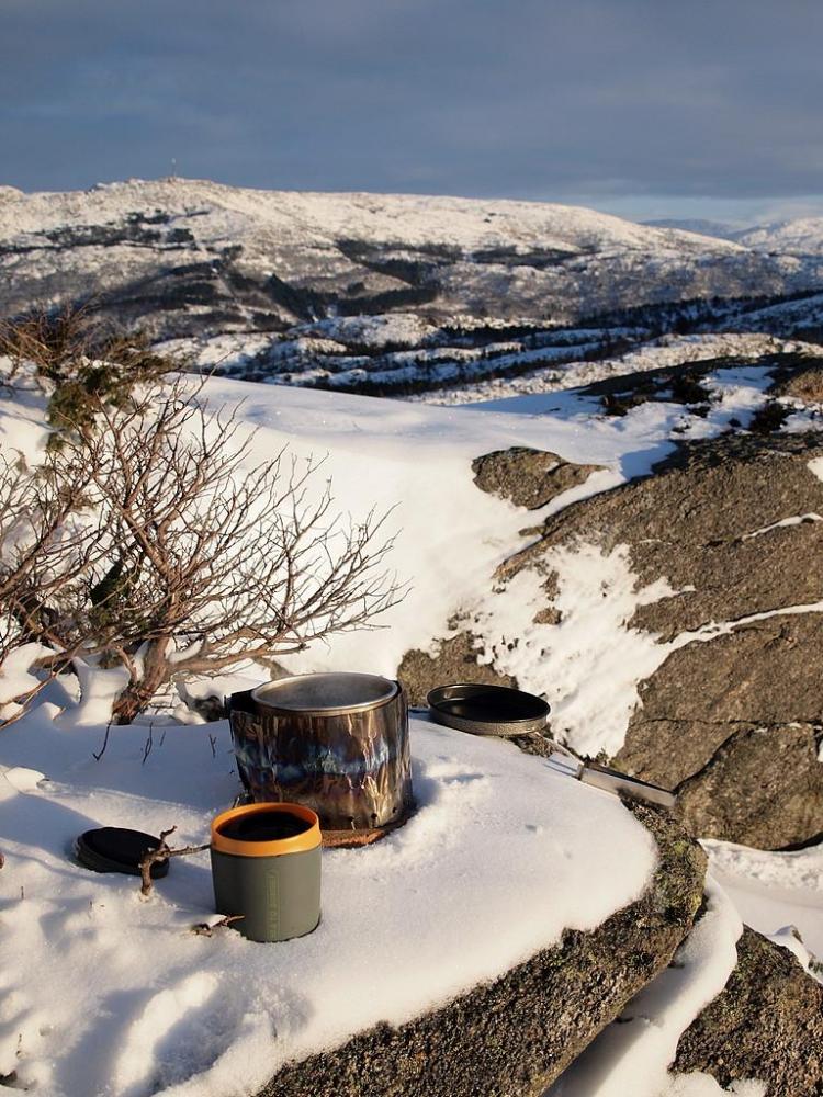 569bbde3d0e9e_Snkoking(P1170433).thumb.J