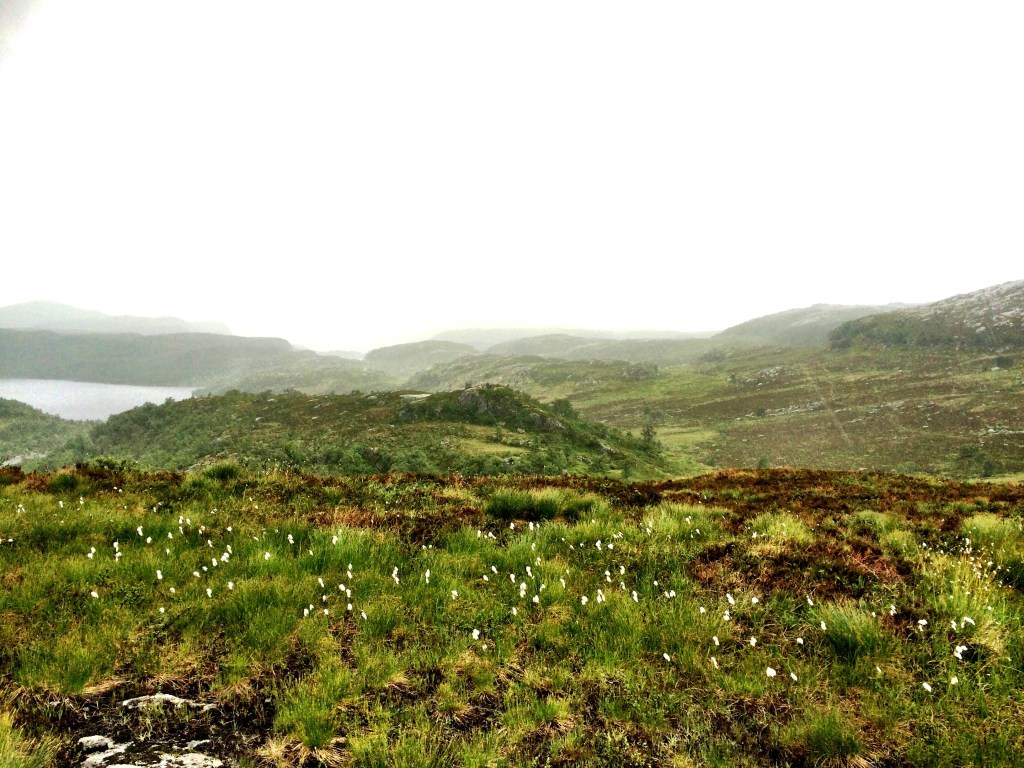 IMG_1665.jpg?resize=1024%2C768