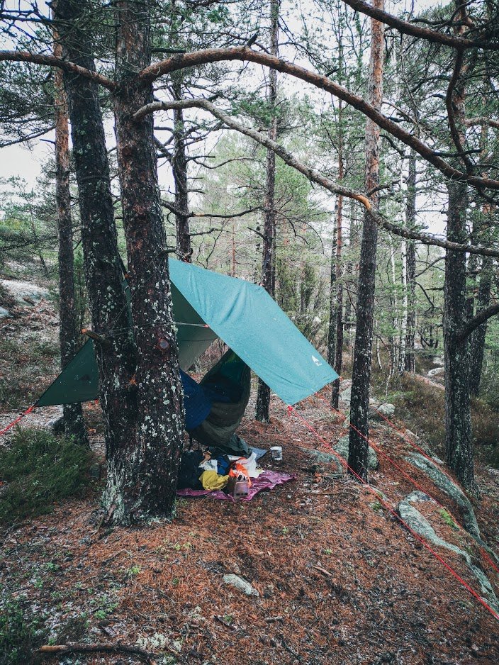 dEXaZstqL9k7e7IxKGRkHq0chpu0NhjLqQpXweFh-b-aybW99ENr0vXvEAhMTvb0I9Fr3egOdR3mfHHHs8q9BX_1k1zT2-23B7zaQLxZjf6Fcp2idO5FZnMv7mN-ScBz20-f4CuMFC6vbLZb4XtIk30TGYitjjZ2opYt7jCvYxln0IPmM6zSd-esfzYdTdSi6OtDoxNMROSnpQt_NxEfo6Yr-T69GHGx9zNnubAlmV56wI8iqsFbJ2recwA1MNPvIJxsHtumFrMR3Fad2RmCIKWMq_hEXo68CvuksatEUhV6gAqZp5gy0SW5A3vkbKp19SLLZFWnQOBrUYFAffgwE2JisFP3A2T6JKIpzzv-3IDCDrWylfl77iRZ93UL7zsP4thq0fnIc4xrVRf177jF23oYu3QFQ4sAT46lmMHfVJPuH7WlrRQv40VPqbvuQrWZfCPPvCVQlwUpMjTiGf11SIO8jJ1igJe4ksIKWwTCqowpGw1CvNqLkEhh85USz1Egs9ZWFL40biY1CMW2hd89CFuc1T0bGRLaHi4WyclbQ6uvISe_wGfxgnCbwsFb1kkp3UGuZaBZGt36P_H1QnSjvgKBOIEi3oVHhQb4IzG9_-e5K9pBmWNte5xdTiQIaZZ8Chg4V1f4X_8TvNErydTUCDW7_w=w704-h938-no