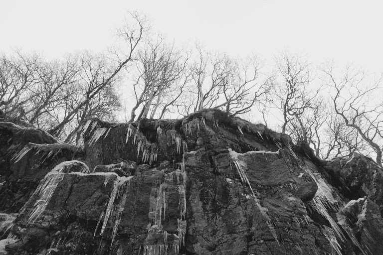 DSC00527.jpg?resize=768,512