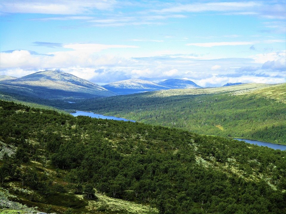 69770177_1434050796751982_56927804355961