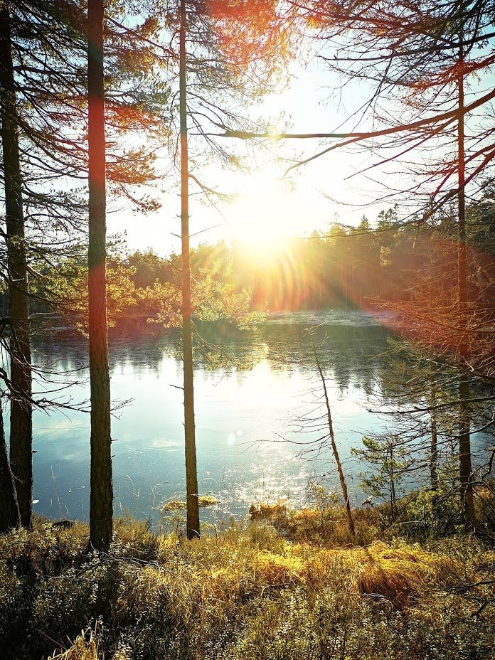 2Taos4k__yBJJq1U7yUcZZzZEjuvKk0J6pUO4hrY