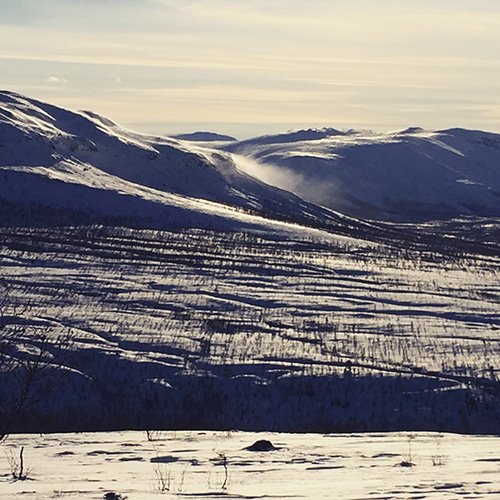 dividalen1.jpg.54fc53b25185c5c82bb4dcaf7