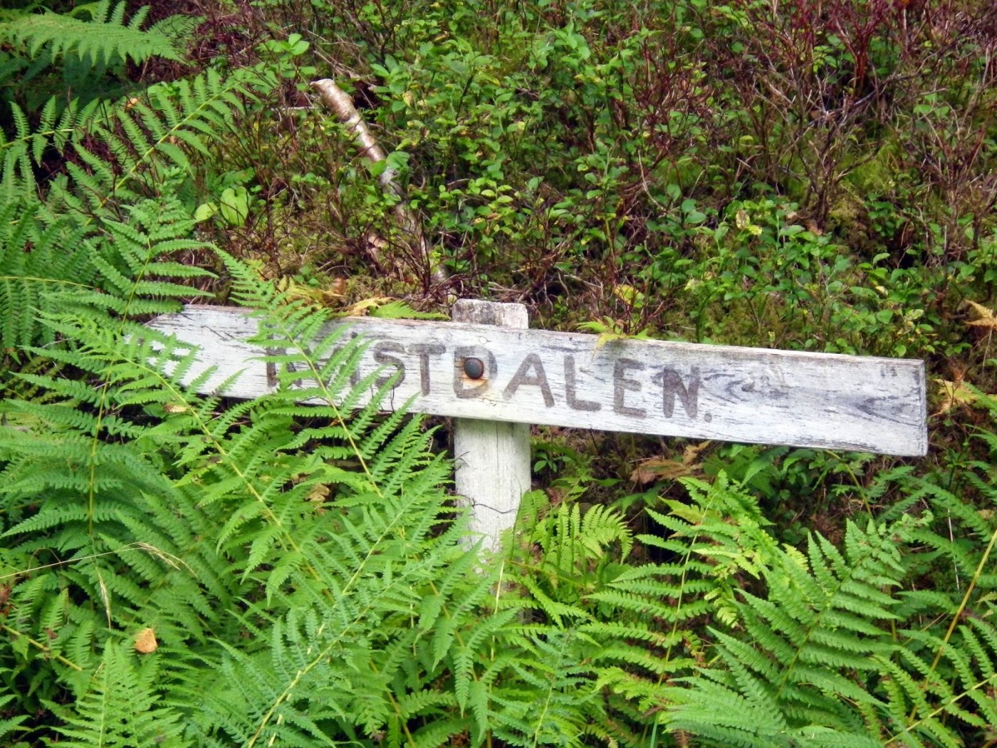 Kvistdalen%2B5-7%2BSeptember%2B2014%2B08