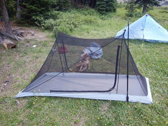 V7k2Kvv3QzqVRJfV5Lxs_X-Mid-1(2).jpg?auto=format&fm=jpg&fit=max&w=796&h=425&dpr=1