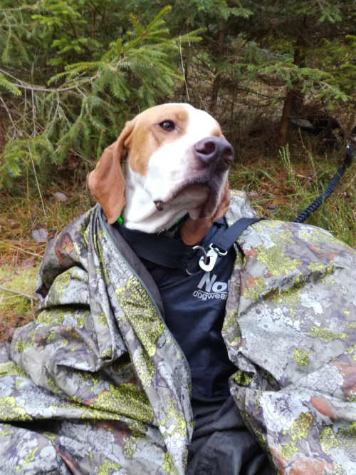 img_20161206_122928-2017829-11-148129221