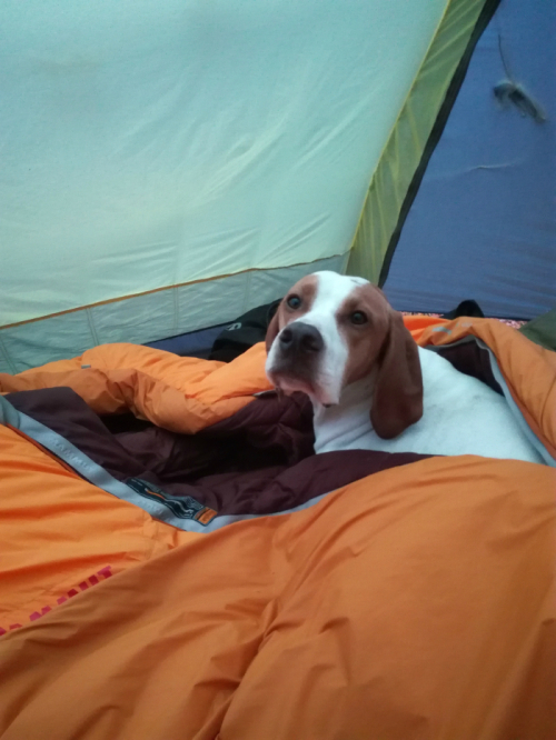 img_20161207_093706-2017829-11-148129422