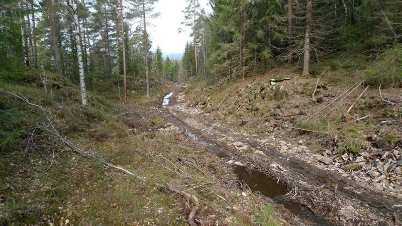 large.gallery_1310_12_97143.jpg.0a756804