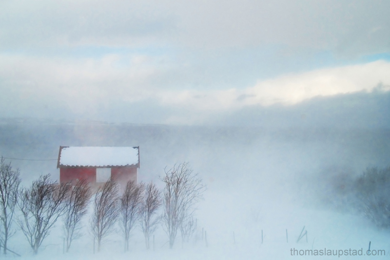 snoestorm_fjoes_vinter_800.jpg
