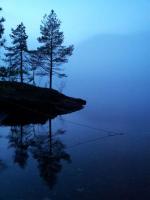 post-10020-0-42840900-1358977134_thumb.j