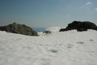 post-10785-0-23971900-1358774307_thumb.j