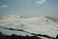 post-10785-0-86965100-1358774217_thumb.j