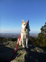 post-12061-0-44923800-1358765351_thumb.j