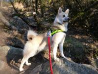 post-12061-0-81598200-1358765313_thumb.j