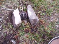 post-6671-0-27835700-1359633412_thumb.jp