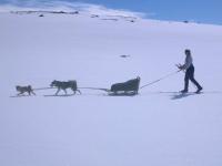 post-7472-0-34071700-1358681876_thumb.jp