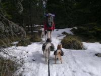 post-7472-0-55749000-1358681824_thumb.jp