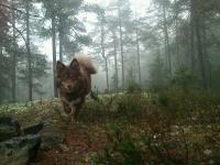 post-7807-0-06233700-1358242623_thumb.jp