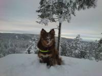 post-7807-0-65564700-1358241723_thumb.jp