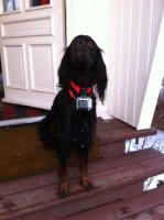 post-9488-0-80586700-1359560807_thumb.jp