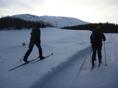 post-10401-0-36776000-1390940598_thumb.j