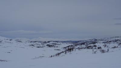 post-10401-0-58141500-1390939875_thumb.j