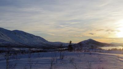 post-10401-0-75734800-1390938455_thumb.j