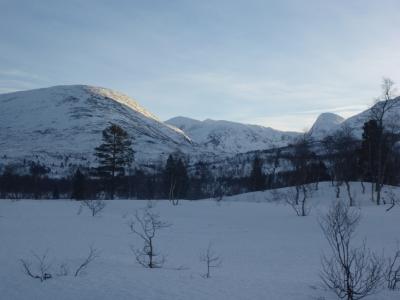 post-10401-0-76043300-1390940689_thumb.j