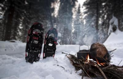 post-12278-0-11875200-1390226381_thumb.j