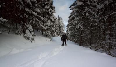 post-12278-0-36836800-1390226385_thumb.j