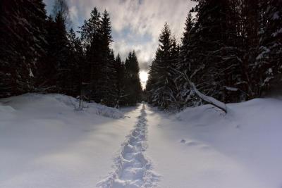 post-12278-0-50022800-1390226373_thumb.j