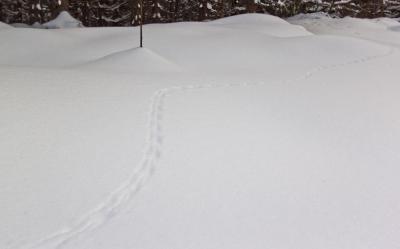 post-12278-0-98935300-1390226377_thumb.j