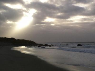 post-13043-0-77935300-1388858467_thumb.j