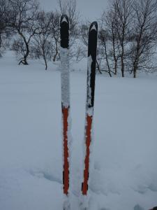 post-13206-0-21550600-1388943650_thumb.j