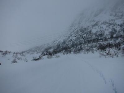 post-13206-0-82861000-1388943652_thumb.j