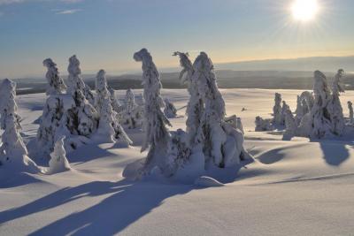 post-13995-0-66459800-1389611434_thumb.j