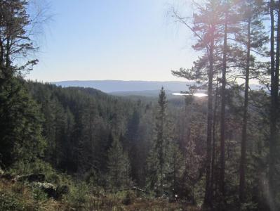 post-14173-0-73914300-1391032354_thumb.j