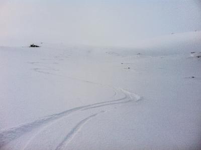 post-3941-0-94134000-1389443755_thumb.jp