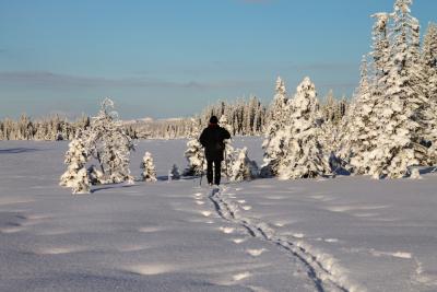 post-4016-0-09375600-1389546736_thumb.jp