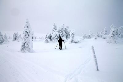 post-4016-0-36233800-1390752613_thumb.jp